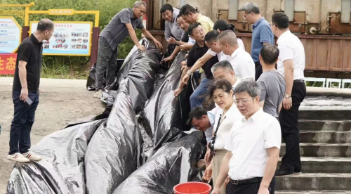 郑锦锋等县领导参加南城县2026年第二次水生生物增殖放流活动