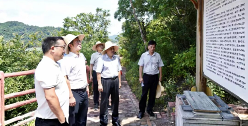 郑锦锋深入洪门镇调研红色资源保护利用工作